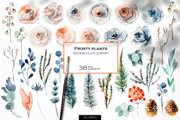 Frosty Plants Clipart: Watercolor Elements for Modern Design